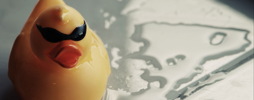 Cool rubber duck that knows all sorts of plumber secrets