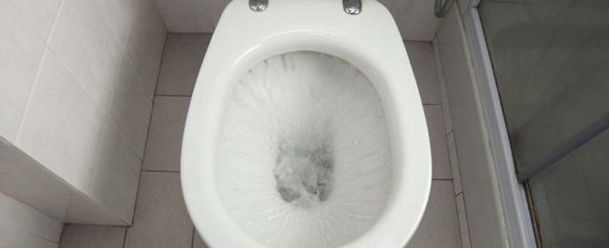 toilet flush